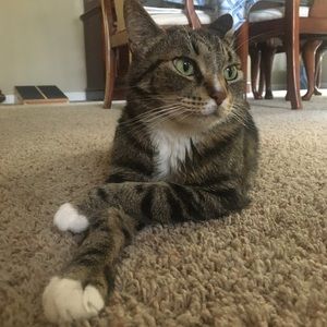 Meet your Posher, Kaitlin